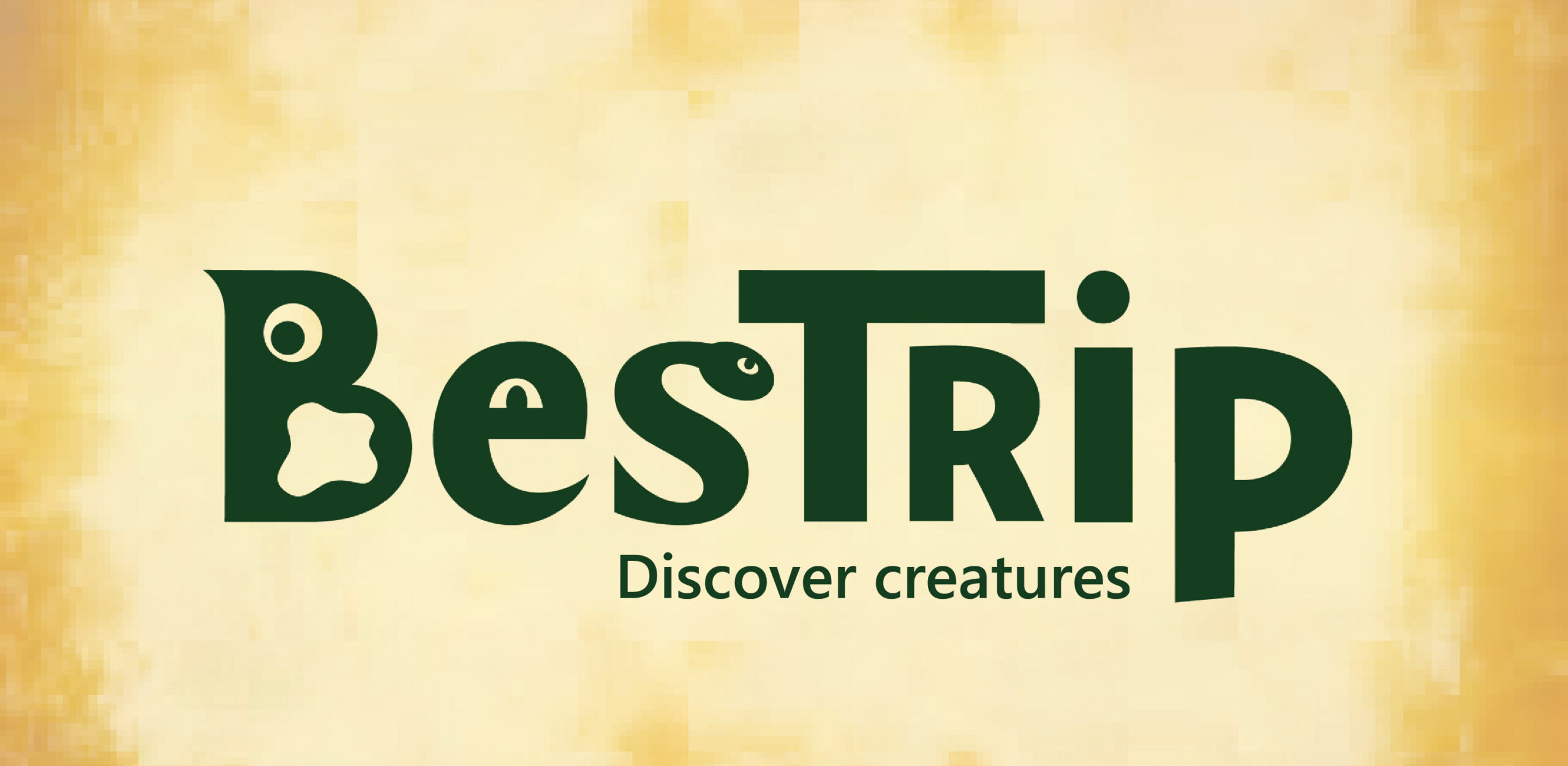 Bestrip